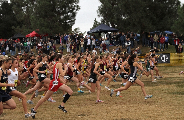 2009 CIF XC Girls D4-009.JPG - 2009 California CIF Cross Country Championships, Woodward Park, Fresno, California
